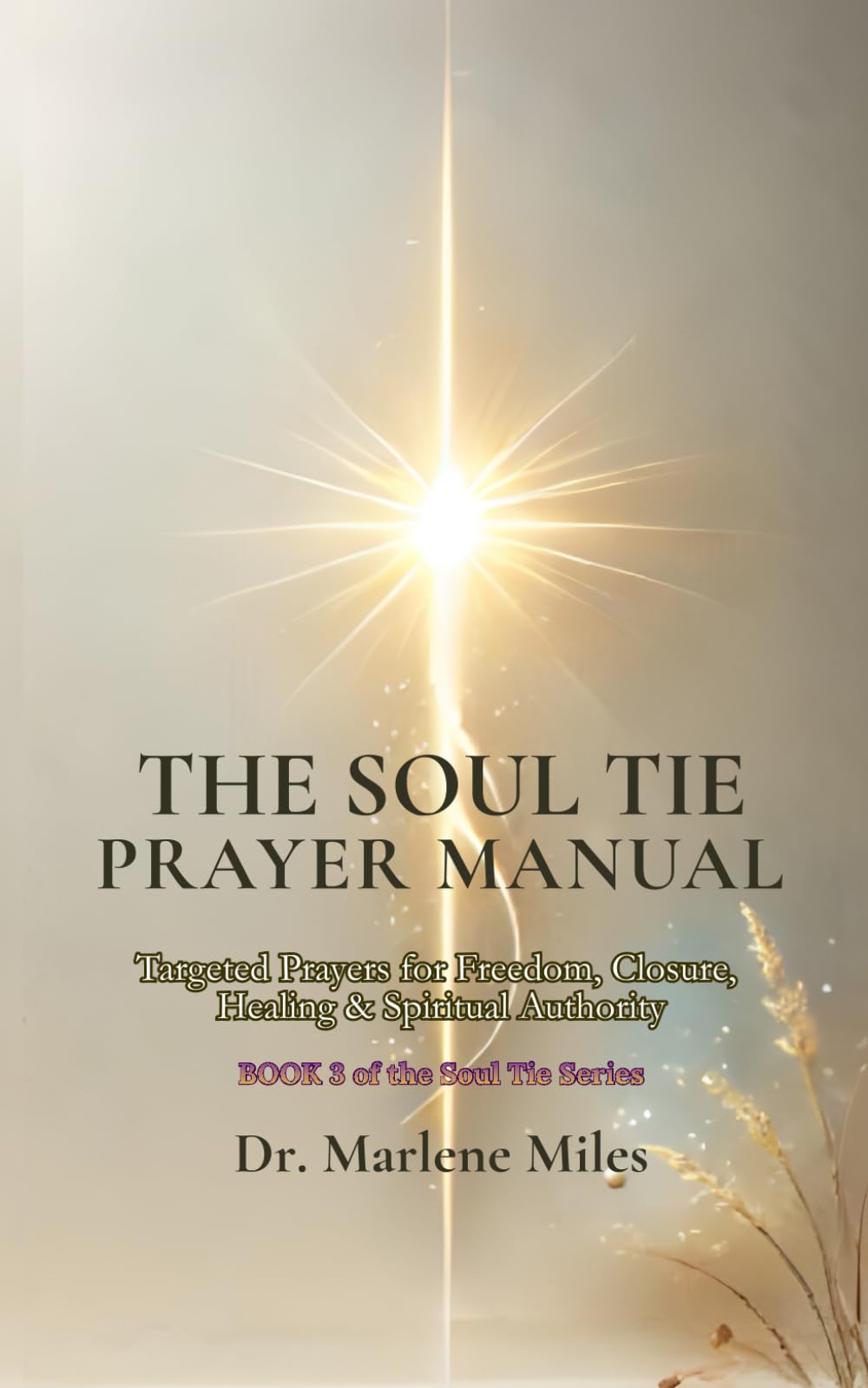 THE SOUL TIE PRAYER MANUAL: Targeted Prayers for Freedom, Closure, Healing & Spiritual Authority (soul ties how to break them)