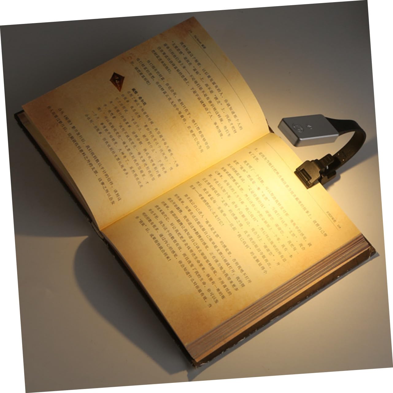 Luce da Lettura LED Doppia Clip, Acrilico Ricaricabile USB