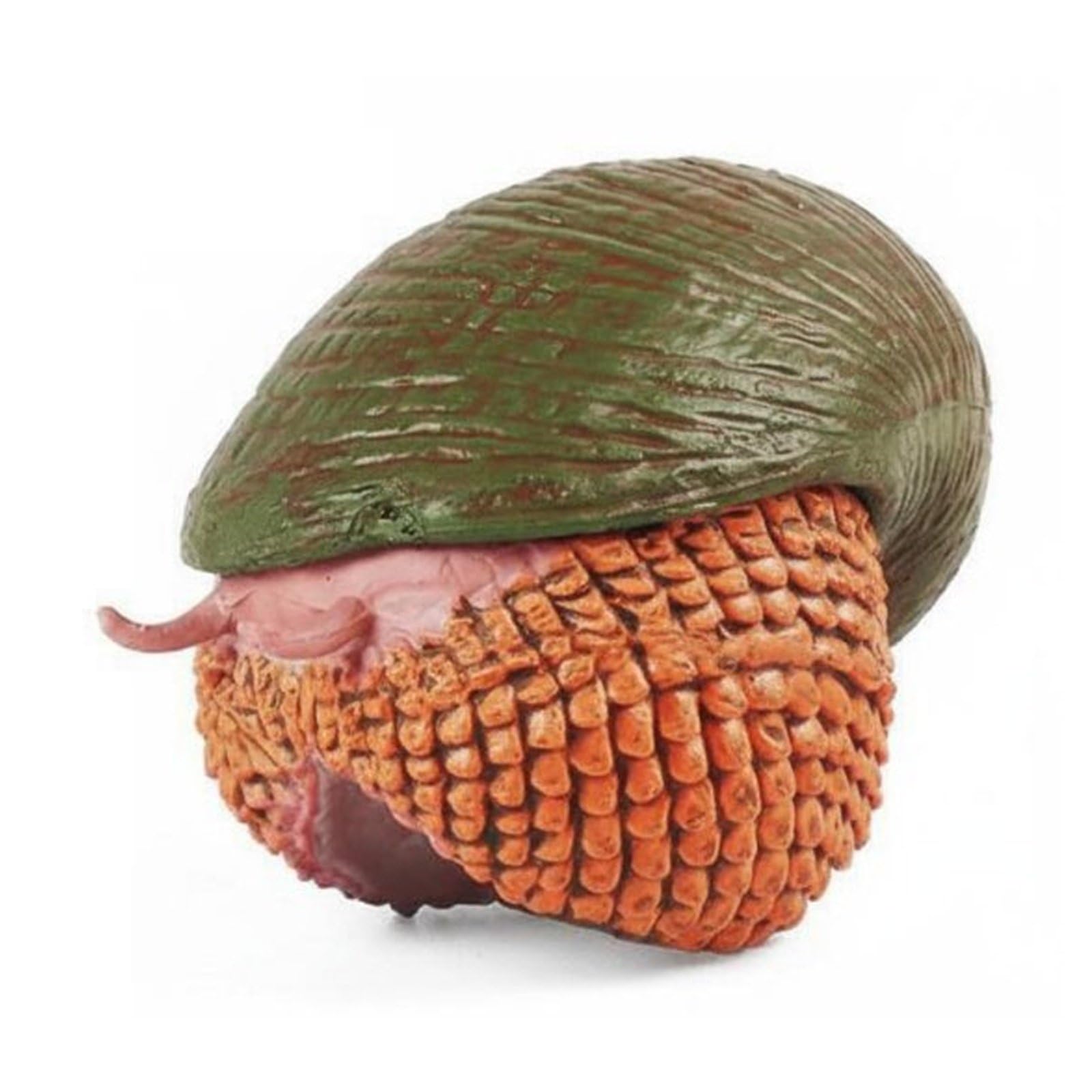 Amagogo Figure Realistic Model Animal Educational Toy Lifelike Simulation Collectible Suitable for Classroom Display Garden Decoration, Scaly-foot Snail