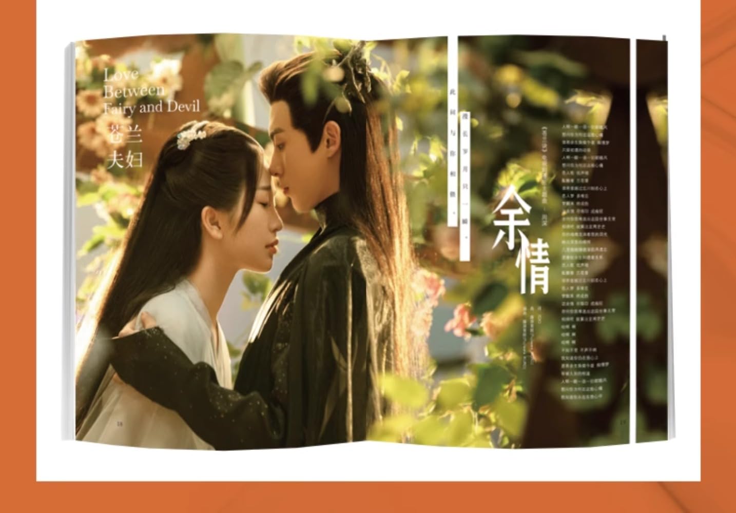 Amazon.co.jp: 月見竹取 蒼蘭訣 そうらんけつ 王鶴棣 ワンホーディー