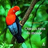 Calendrier Oiseaux rares du monde