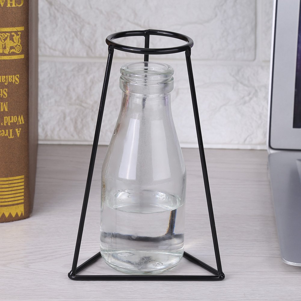 Sheens Vaso Frame, Iron Art Frame Stand Forme Creative Piante in Metallo Nero Espositore da Tavolo per Decorazioni da Ufficio da Tavolo(D