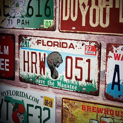 Image of Eazywagon Florida HRW 051 Multipurpose Metal Signs - License Wall Plate, Decorative Car Tag - Ideal for Cafe, Restaurant, Shop, Home, Hotel, Club, Office, Living Area