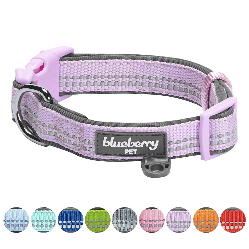 Buy Blueberry Pet Soft & Safe 3M Reflective Neoprene Padded Adjustable