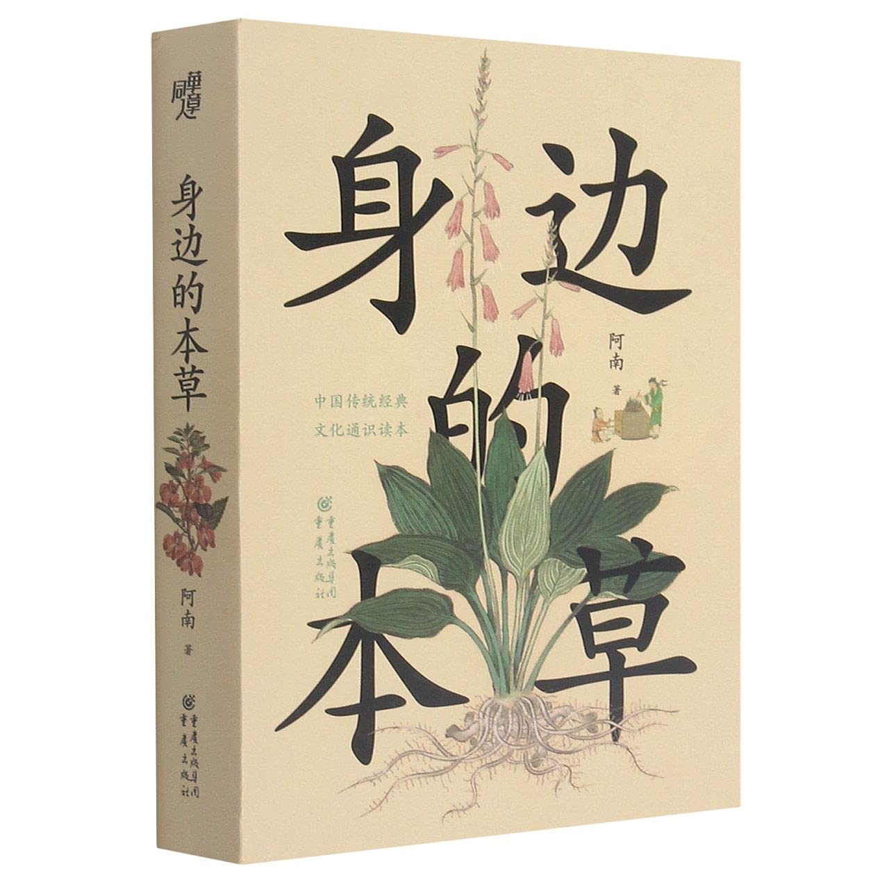 Amazon.com: China Books中国书店: Traditional Chinese Medical Science