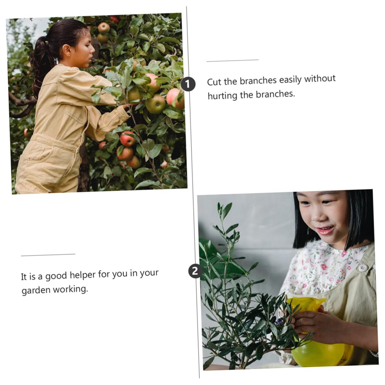HANABASS 3 Pièces Sécateur de Jardin Acier Inoxydable Outil de Ergonomique pour Élagage de Branches Fruits pour Jardinage Horticulture