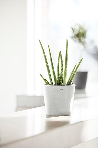 Miniatura 7 de Ecopots Amsterdam - Maceta redonda de plástico reciclado duradera para interiores y exteriores color blanco puro 7 pulgadas