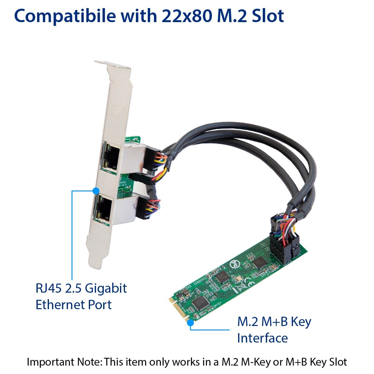 Amazon.co.jp: Dual 2.5 Gigabit M.2 M+B Key Ethernet Network