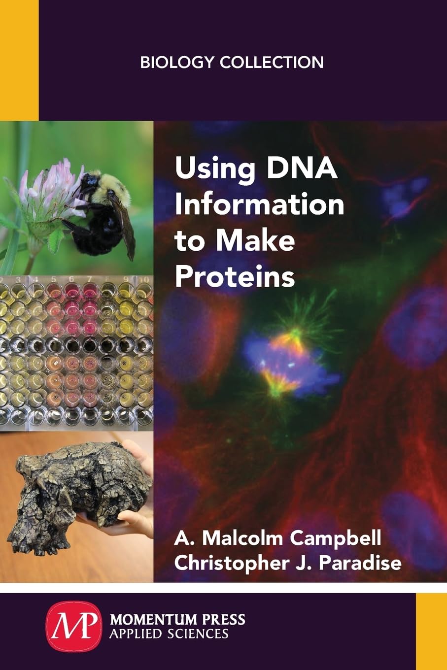 Buy Using DNA Information to Make Proteins (Biology Collection) — BookShops.in