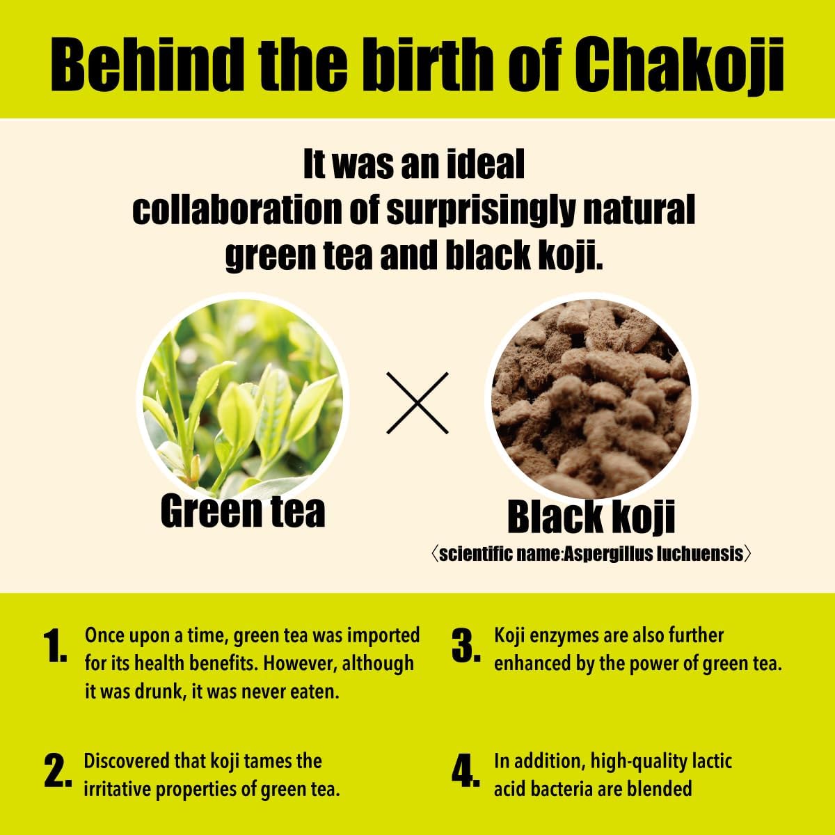 Amazon | 河内菌本舗 茶麹 乳酸菌入り(62カプセル)鹿児島 | 河内菌