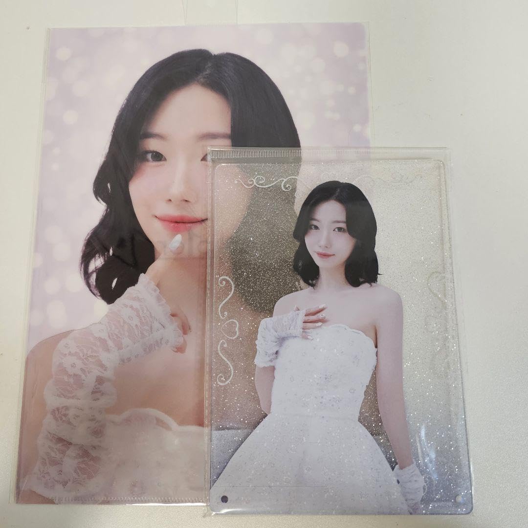 Amazon.co.jp: Kep1er ドンキ コラボ グッズ クリアファイル アクリル 