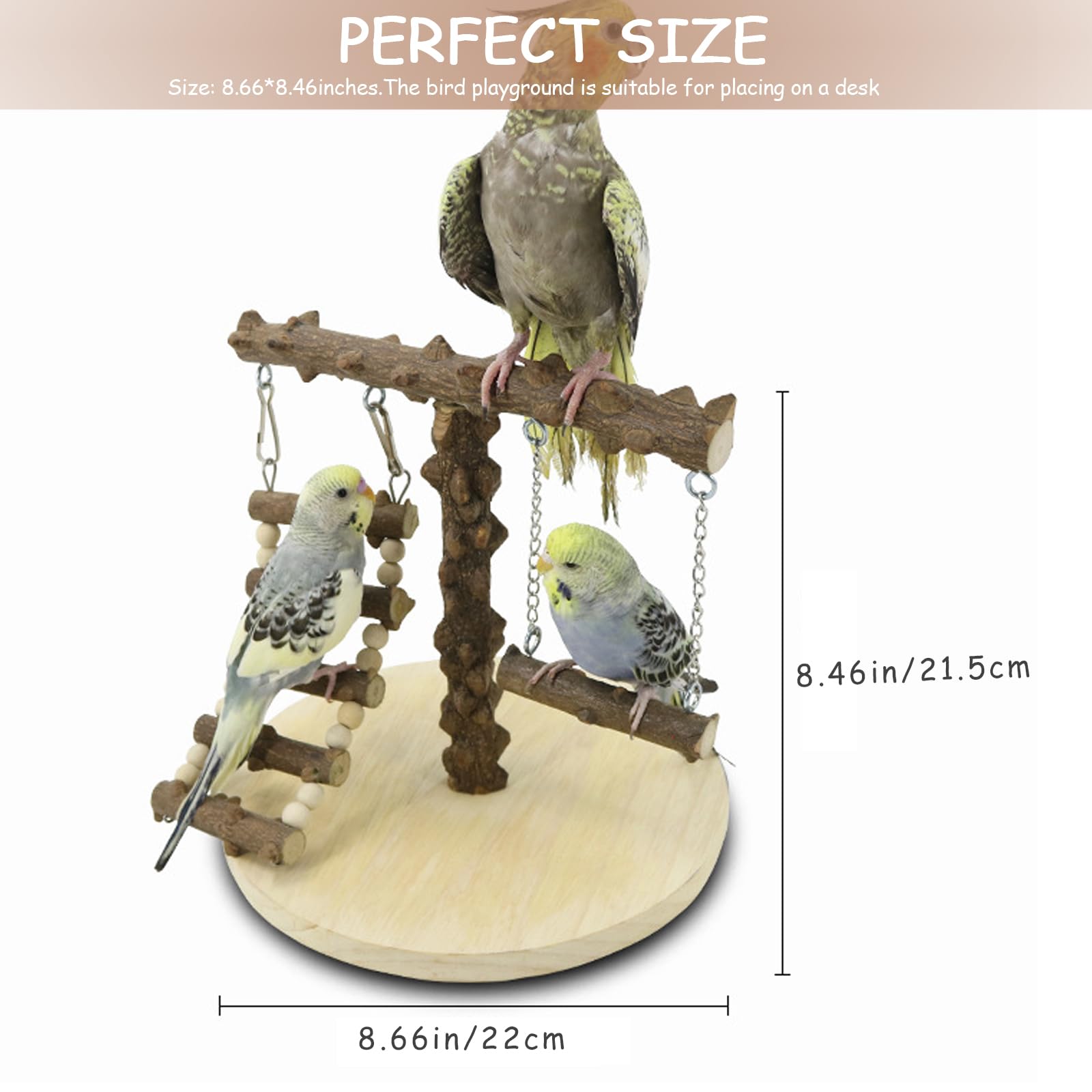 Parrot Playstand in Legno - Parco Giochi per Pappagallo con Scala e Altalena per Uccelli