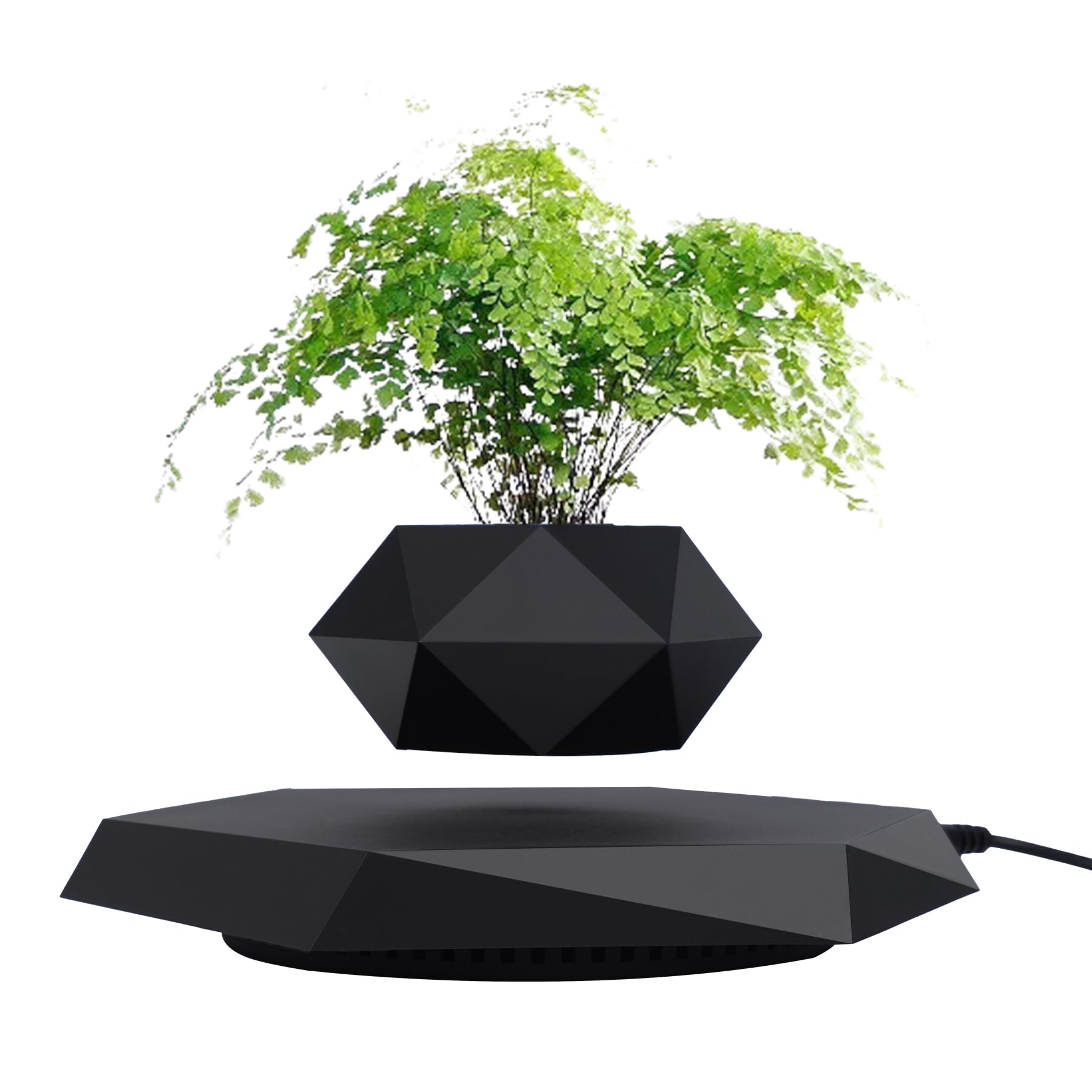 Levitating Plant Pots Floating Hanging Planter for Small Plants. Elevate Your Space Level with The Floating Plant Pot – Stunning Home and Office Deco (Black)