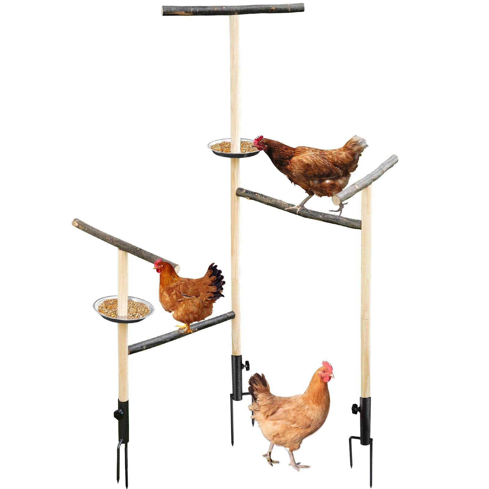 Chicken Perch Chicken Enrichment Toys for Coop Large Chicken sold price at auction in Canada