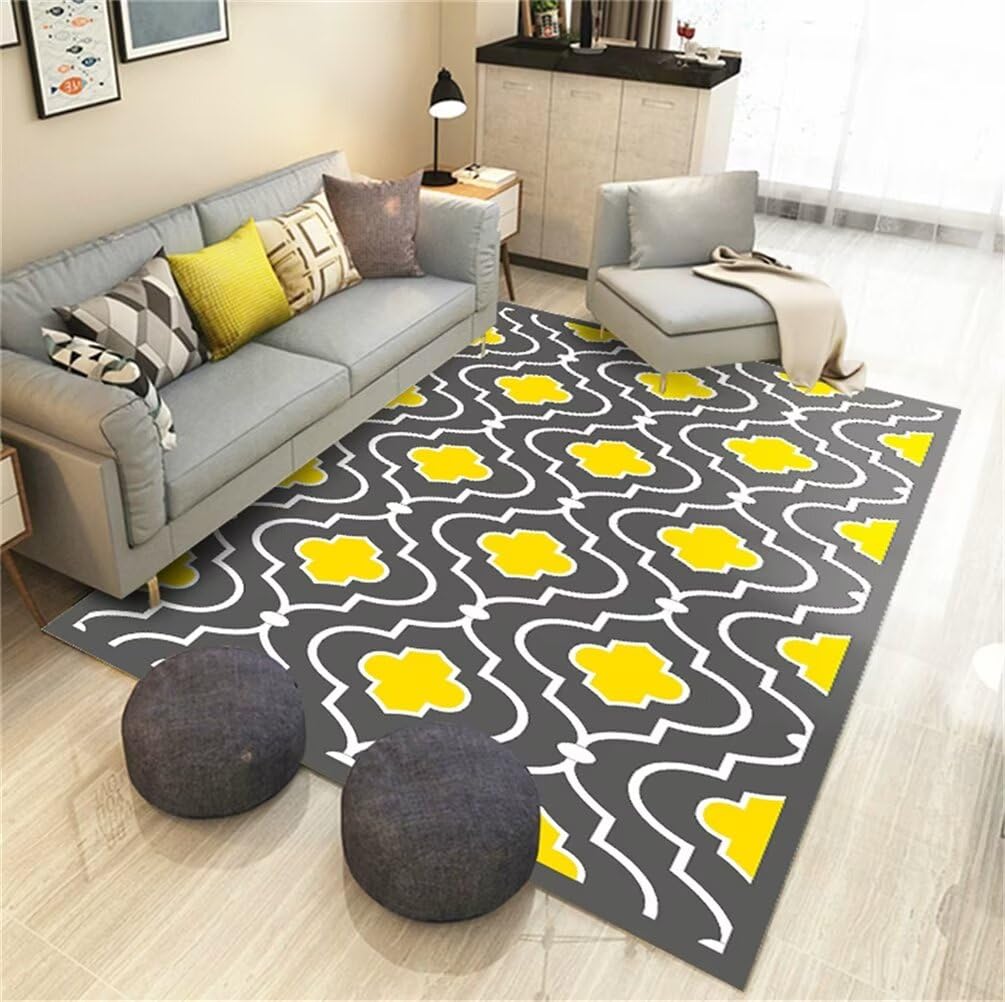 Tapis anti-taches 300x400cm moquette salon grande taille et facile à nettoyer