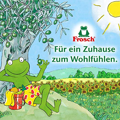 75ml Frosch Citrus Flecken-Zwerg Flecklösend mit Zitronenfrische gegen Fett, Make-Up, Erde, Öl, Deo, 1er Pack (1x 75ml)