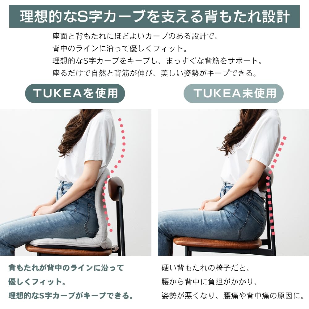 Amazon.co.jp: アイリスプラザ 置くだけ背筋サポートリクライニング座