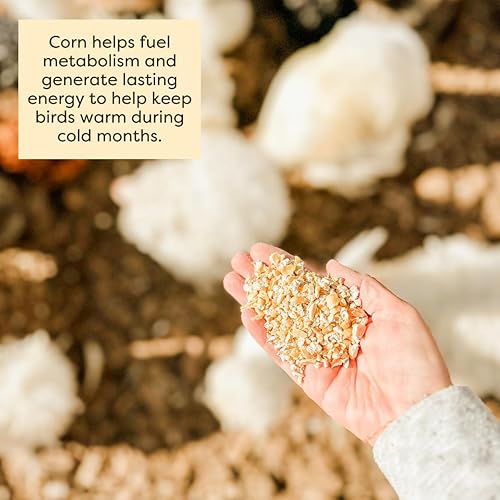 Miniatura 5 de Scratch and Peck Feeds Cluckin' Good Cracked Corn  8 libras  Suplemento de carbohidratos y proteínas para pollo  Proyecto orgánico y sin OMG