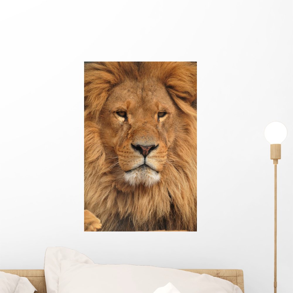 Amazon.com: Wallmonkeys Lion Face Wall Decal Peel and Stick