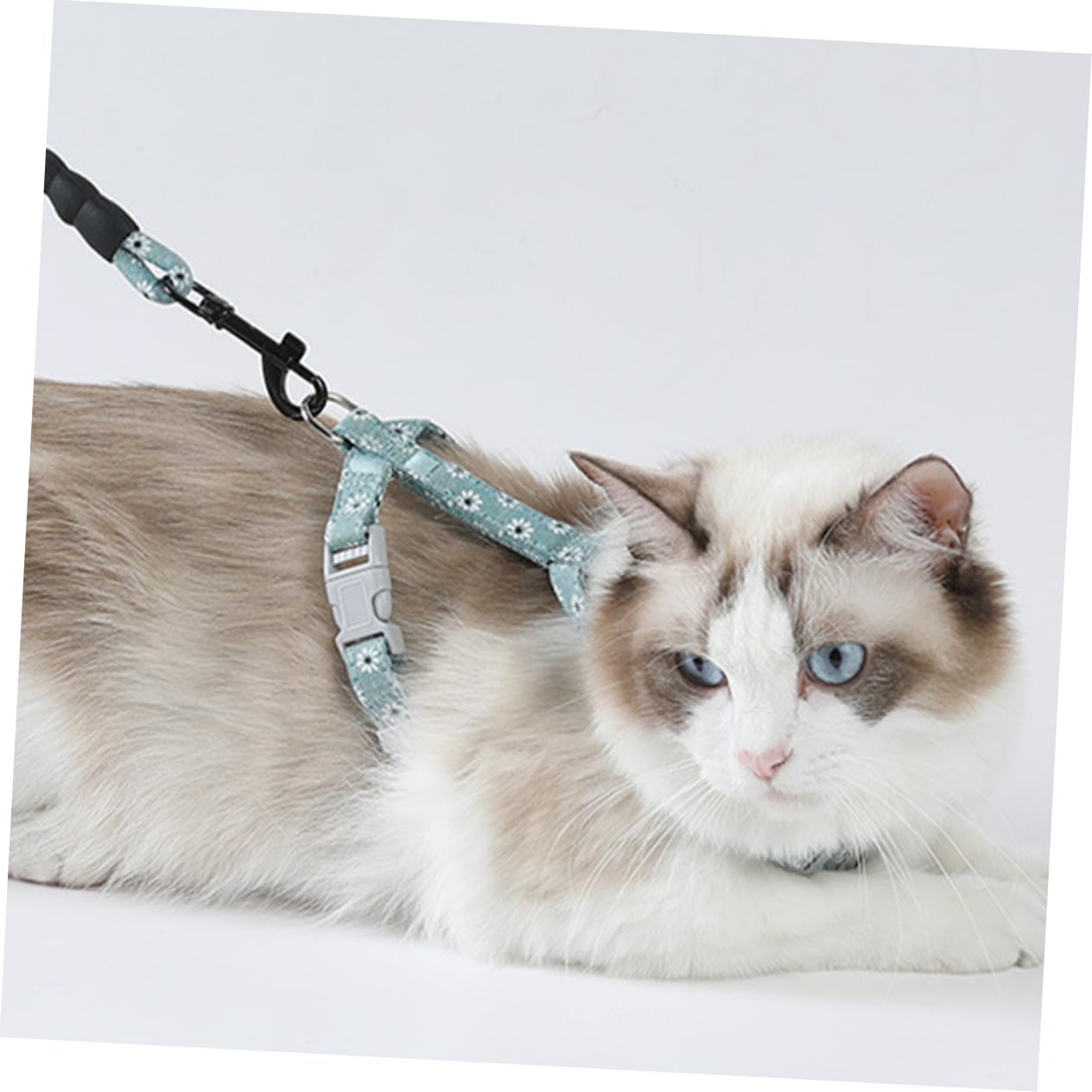 Happyyami 3St Haustierzubehör Katzengeschirr Geschenkideen Hundeleine Reise Traktionsband Katze Geschirr Gurt Traktionsgurt für Haustiere Japanischer Stil Leinen Kettenblatt