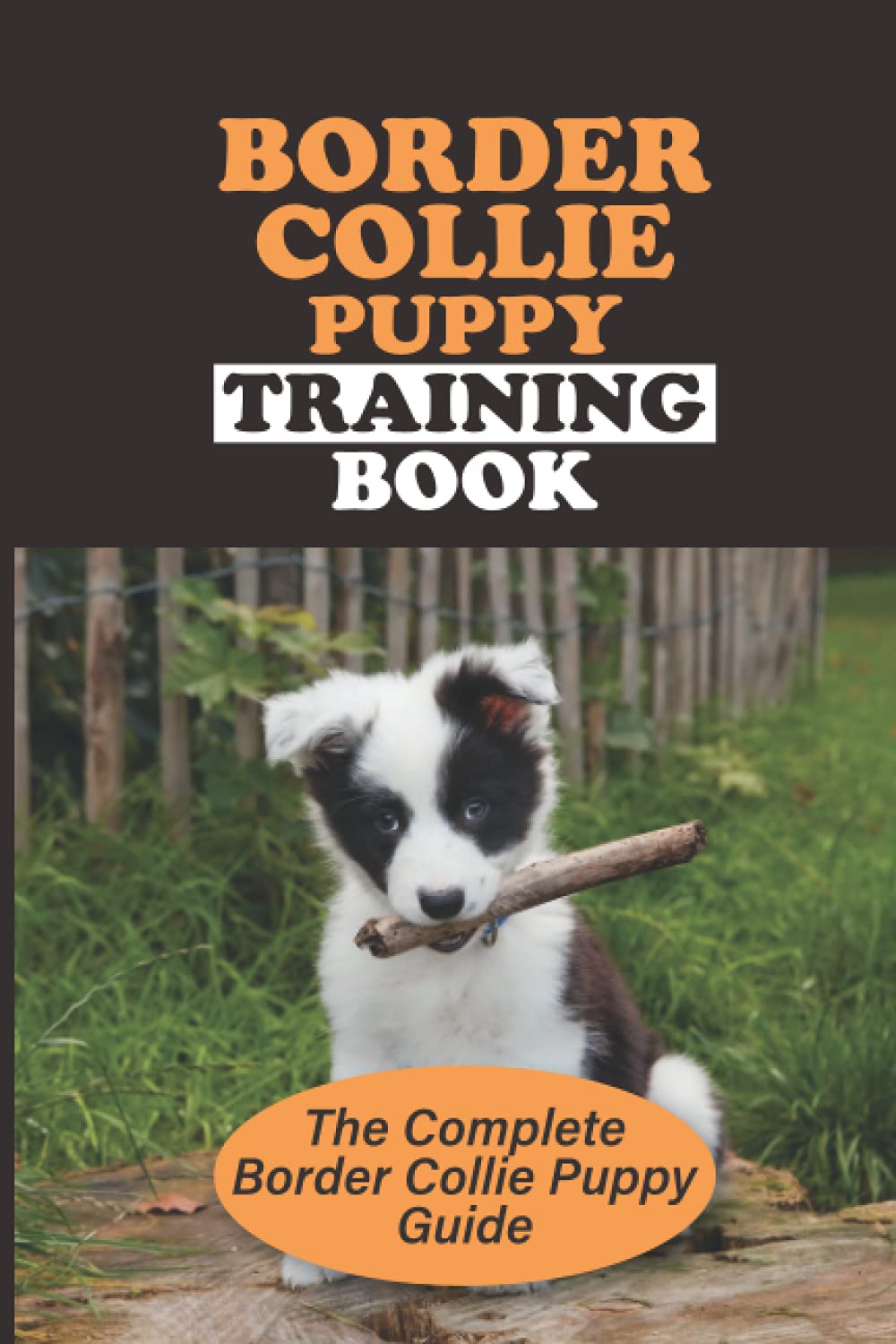 Border Collie Puppy Training Book: The Complete Border Collie Puppy Guide: Obedience Training For Your Border Collie Puppy