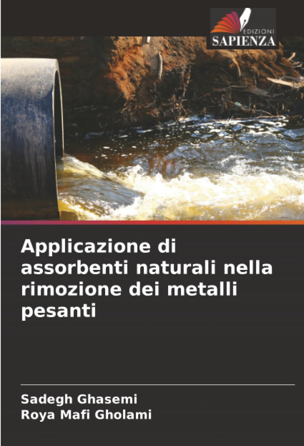 Applicazione di assorbenti naturali nella rimozione dei metalli pesanti