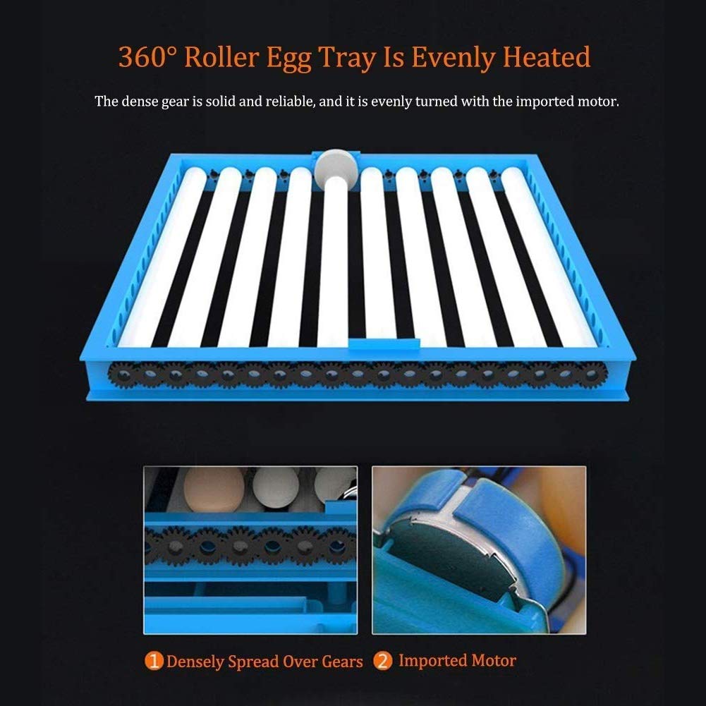 Amazon.co.jp: 卵インキュベーター 自動旋盤 そして 湿度 256卵 大