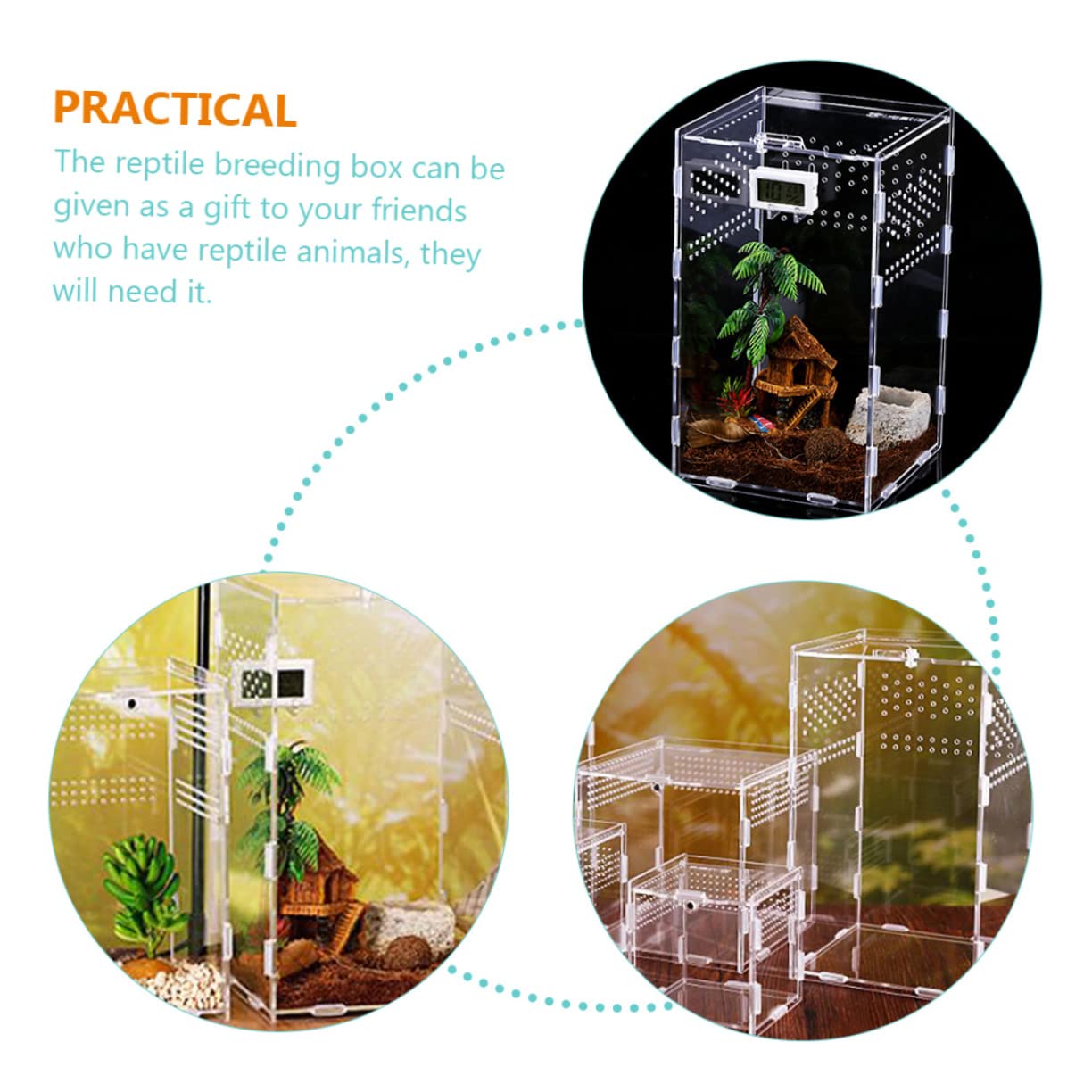 DOITOOL Kit Terrario per Rettili Nido per Rettili Contenitori Creativi Accessori per Terrari Trasportino per