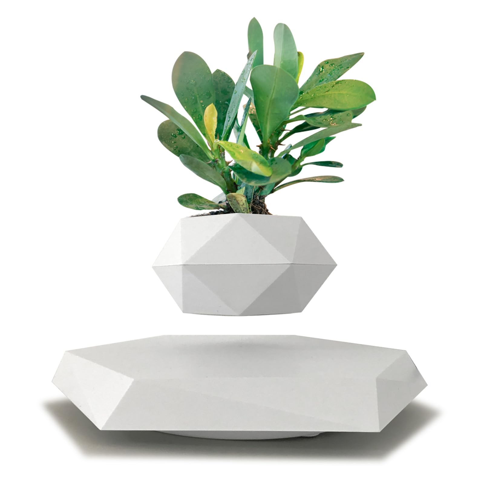 Amazon.com : Magnetic Levitation Floating Plant Pot, Magnetic Levitating Plant  Pot for Small Plants,360Rotating Levitating Desk Decor for Home &  Office,Floating Pot Gift for Plant Lovers,Birthday, Christmas : Patio, Lawn  & Garden