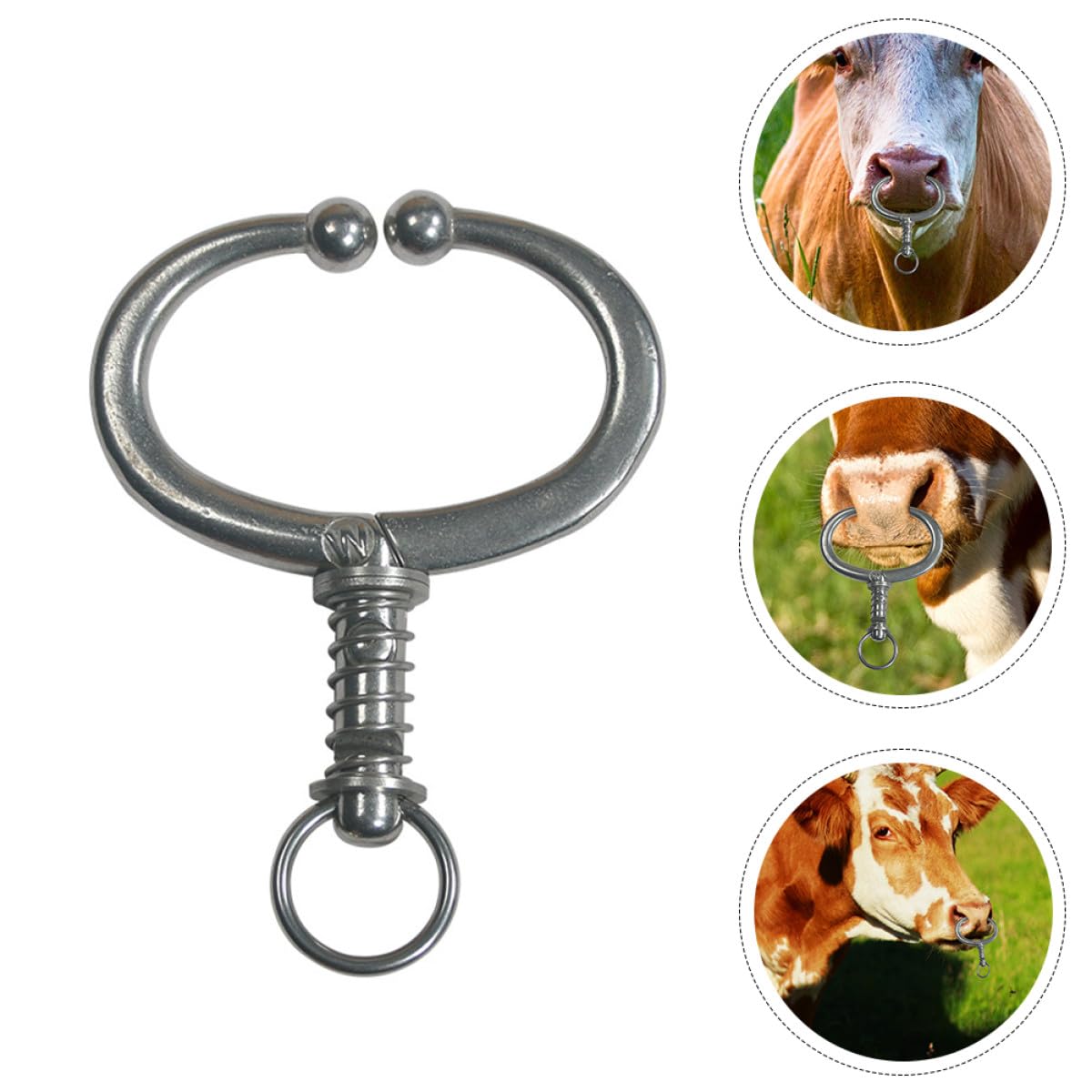 Anello Nasale in Acciaio Inox per Bovini Pinza a Becchi Spessi