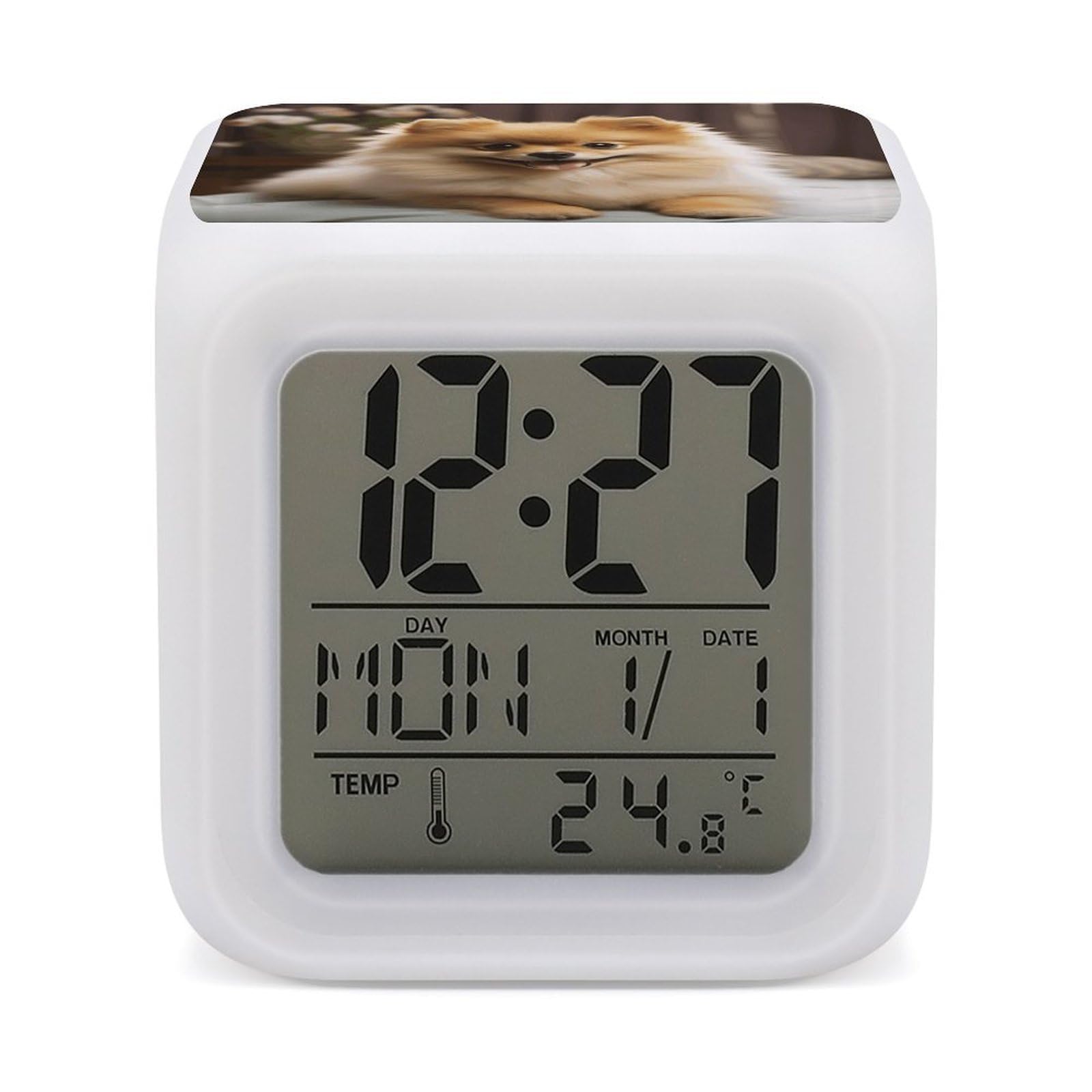 VstaDank Cute Pomeranian Dog Alarm Clocks with 7 Color Changing Night Light Exquisite Bedroom Digital Clocks with LED Temperature Display Desk Clock Ok to Wake Clocks for Heavy Sleeper