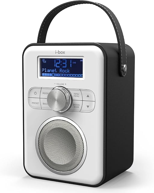 DAB/DAB+/FM Radio with Bluetooth, Mains and Battery Powered Portable DAB Radios Rechargeable Digital Radio with USB Charging for 10 Hours Playback