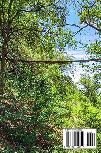 Tree Houses: Everythings You Need to Know about Treehouse and Actually Build: Be in a Treehouse - Image 2