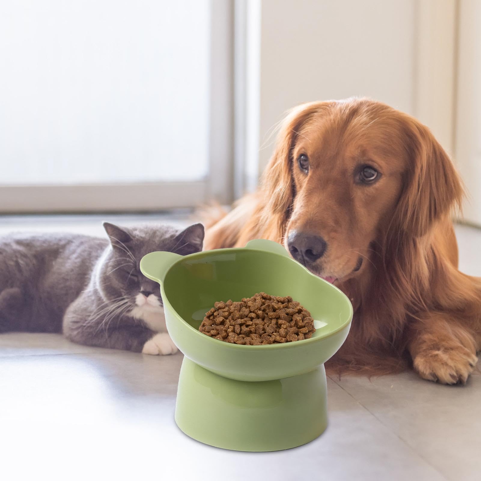 Geneigter, erhöhter Napf – Kippsicherer, geneigter, Wassernapf, Futternapf for Hunde, Hundespender(Tall Bear Face BowlGreen)