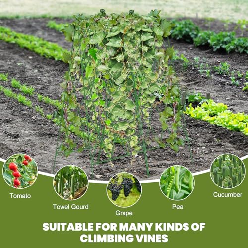 Cucumber-Trellis-2-Pack-Foldable-A-Frame-Garden-Trellis-for-Raised-Bed-Garden-Grow-Support-with-Plant-Support-Clips-Twist-Ties-Plastic-Ties-for-CucumberTomato-Climbing-Plants-and-Flowers Cucumber Trellis 2 Pack Foldable A Frame Garden Trellis for Raised Bed Garden Grow Support with Plant Support Clips Twist Ties Plastic Ties for CucumberTomato Climbing Plants and Flowers