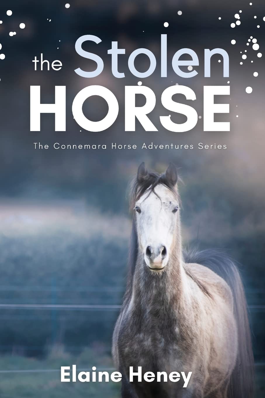 The Stolen Horse - Book 4 in the Connemara Horse Adventure Series for Kids | The Perfect Gift for Children age 8-12 (Connemara Adventures)