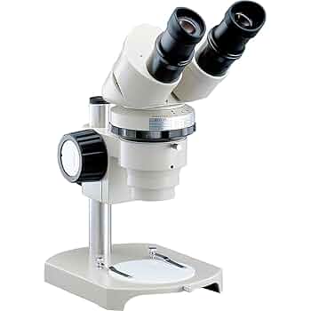 22)Nikon有限系顕微鏡接眼レンズ　CFW15X 22)Nikon有限系顕微鏡接眼レンズ CFW15X 22)Nikon有限系顕微鏡