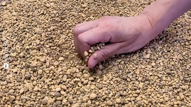 Amazon | プロトリーフ室内向け観葉・多肉の土10号鉢用 8.4L | 用土