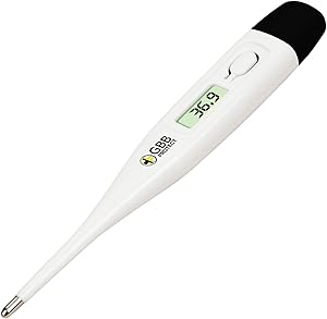 Termometro ascellare per la febbre thumbnail classifica