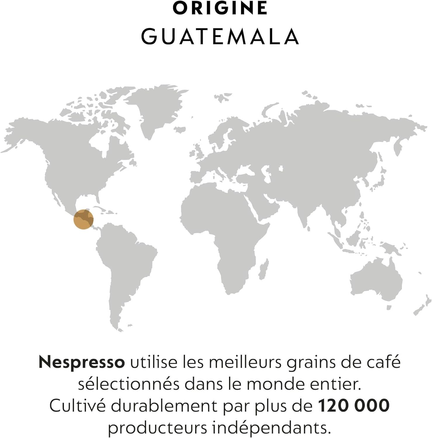 Nespresso Professionnel - Bundle 100 Capsules cafés - Single ORIGIN GUATEMALA (2 boîtes de 50) - Adapté aux professionnels