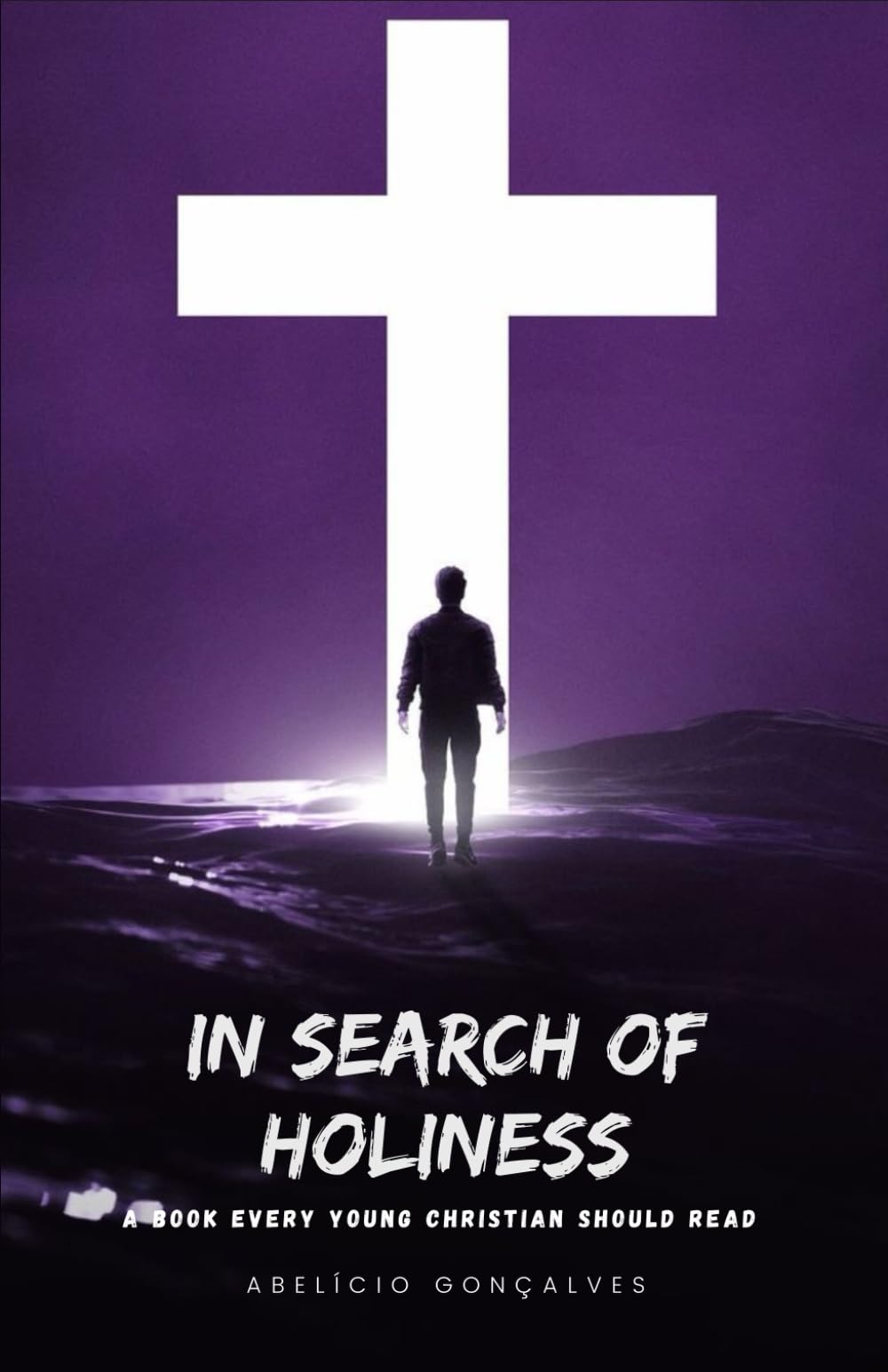 In Search of Holiness: A Book Every Young Christian Should Read