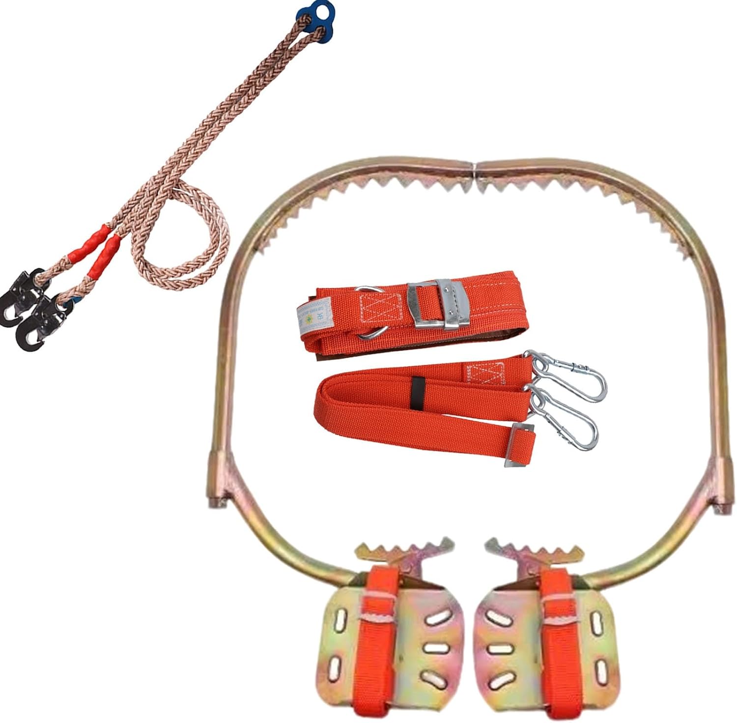 Carbon Steel Tree Climbing Spikes, 1 Pair Climbings Gear for Picking Fruit, Coconut, Wooden Pole Climbers, Load-661lbs