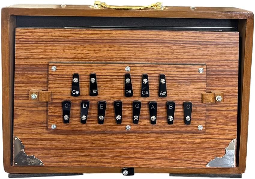Shruti Box aus Teakholz, Musikinstrument, Strauchbox mit Tasche, gestimmt, 440 Hz, natürliche Farbe (38,1 x 25,4 x 7,6 cm)