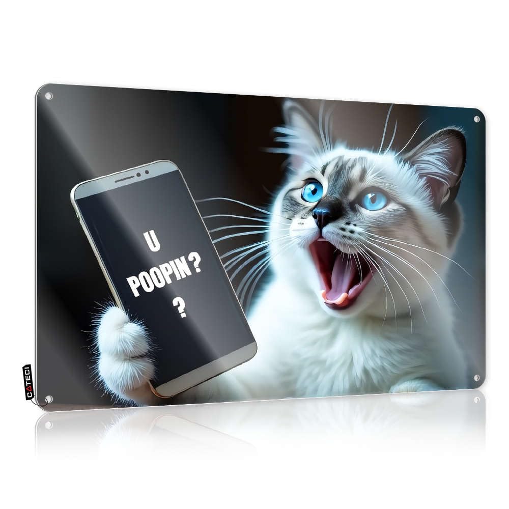 Tin Sign Vampire Hanging Folded Edge & Vintage Inspirational Quote Decor Flat Print | Highland Bathroom A Cat Holding Phone With The Text "u Poopin?" - Funny Skeleton Metal Gothic(20X30CM)