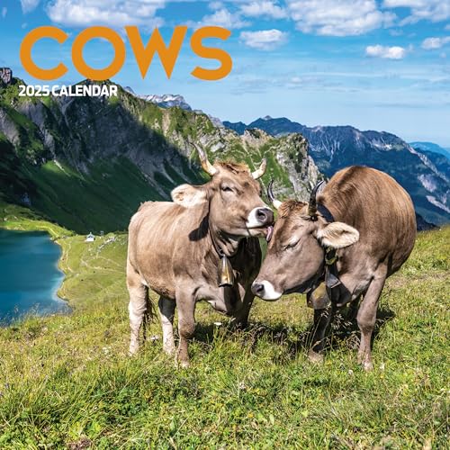 Cows 2025 Calendar, Various