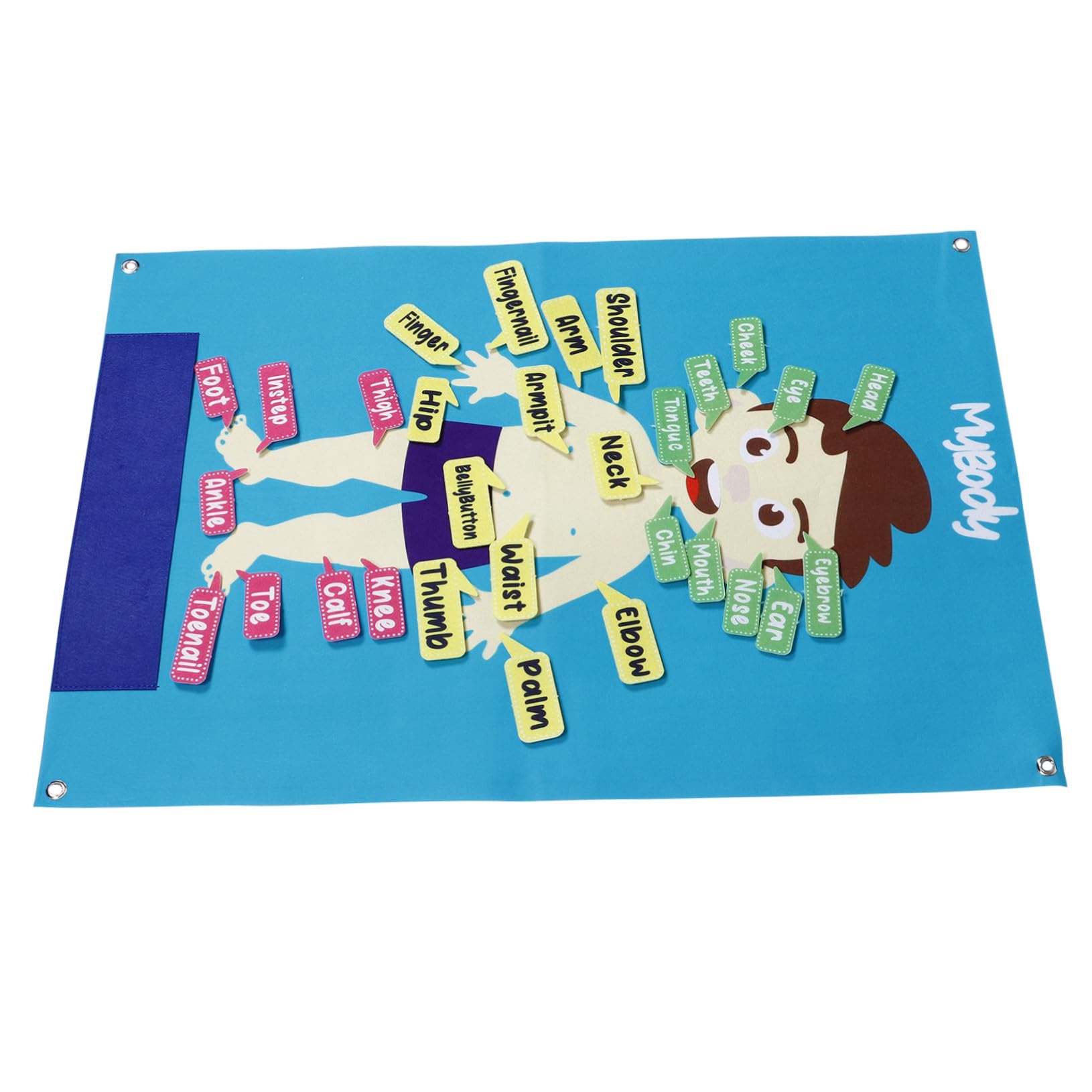 BESPORTBLE Tablero de Fieltro Forma de Cuerpo Humano para Niños en Edad Preescolar, 82X56 CM, Herramienta Interactiva de Aprendizaje Práctico para Actividades Grupales y Narración