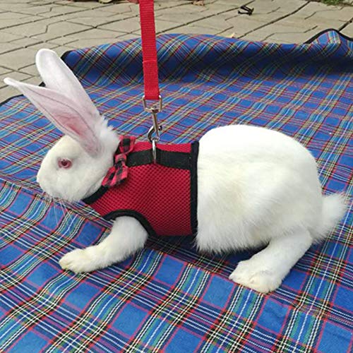 KingbeefLIU Guinzaglio da Trazione Coniglio