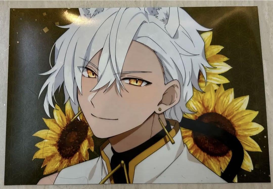 Amazon.co.jp: 混血のカレコレ屋 シディ ヒサメ : おもちゃ