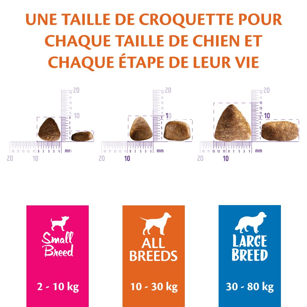 Wellness CORE Agneau 5kg, Agneau – Croquettes Chiens | Petit Chien, Sans Céréales, Naturelles, Hypoallergénique, Riche en protéines, Haute Teneur en Viande, Aide à la Digestion