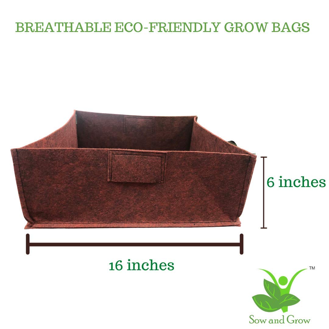 Sow and Grow Large Geo Fabric Grow Bag and Spinach Seeds Grow it Yourself Vegetable Kit for Terrace Garden (16x16x6 inches) 1